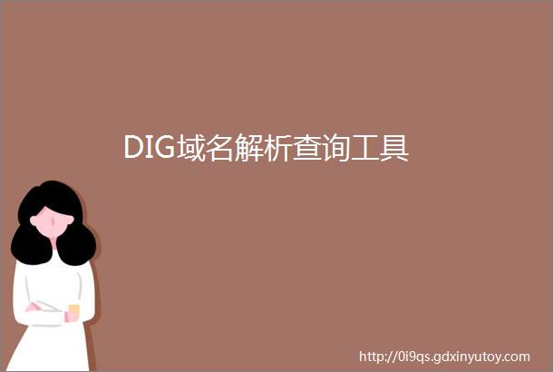 DIG域名解析查询工具