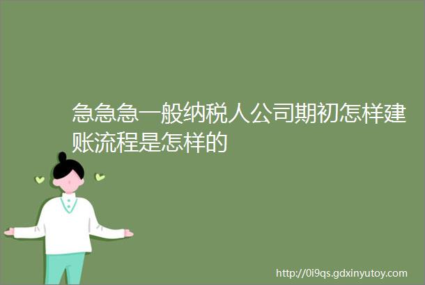 急急急一般纳税人公司期初怎样建账流程是怎样的