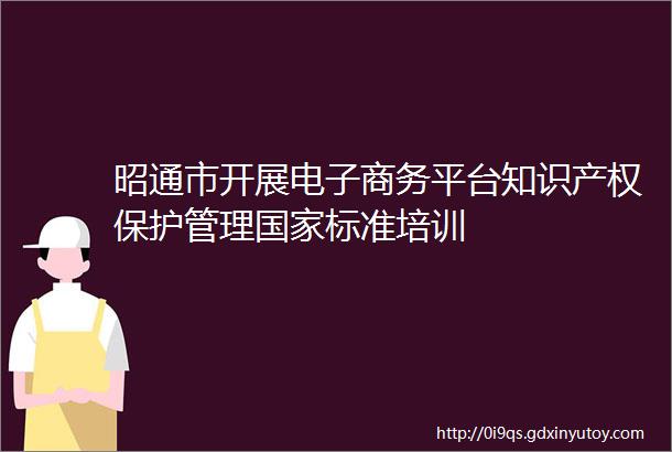 昭通市开展电子商务平台知识产权保护管理国家标准培训