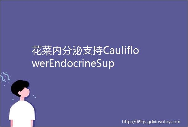 花菜内分泌支持CauliflowerEndocrineSupport