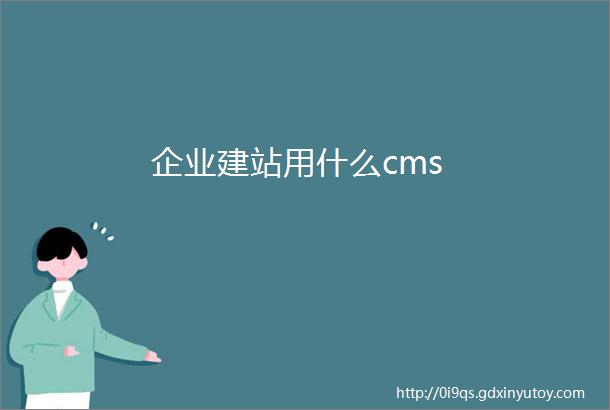 企业建站用什么cms